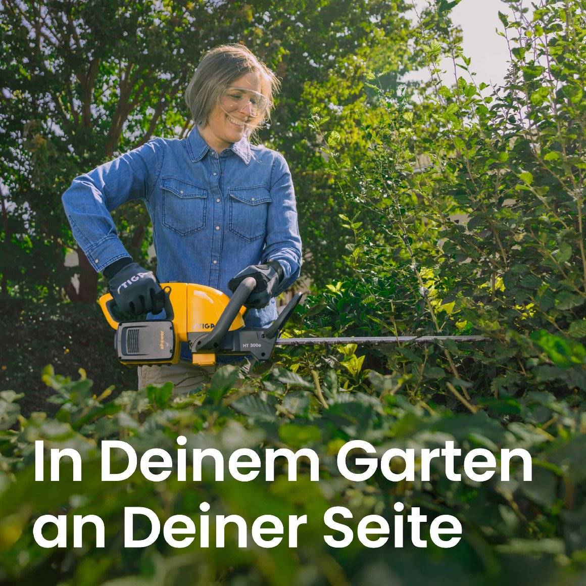 Vorschaubild 12