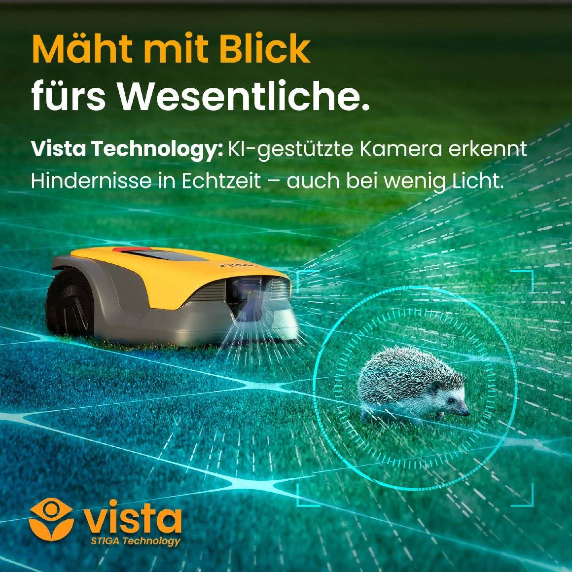 Vorschaubild 11